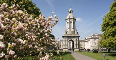 Trinity College Dublin to remove name of slave owner from library