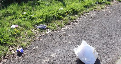 Fall in number of Dumfries and Galloway litter louts being punished