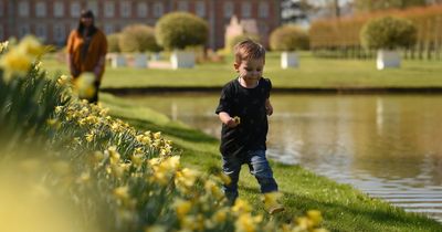Last chance to grab a FREE National Trust family day pass in our mega giveaway