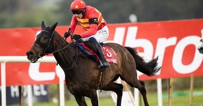 Punchestown Festival day 3 full race card and tips - list of runners Thursday