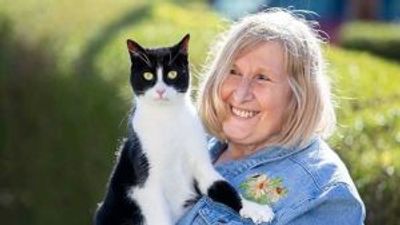 Untrained cat Zebby gets award nomination for helping deaf owner