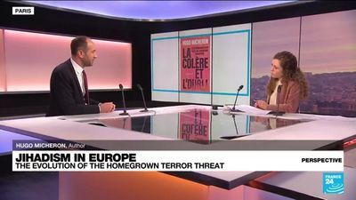 Researcher Hugo Micheron: 'Jihadism cannot just be reduced to attacks'