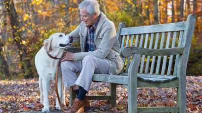 Dog trainer shares three simple tips that will make training a whole lot easier — and number two is a game changer