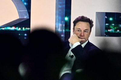 Is it smart to be a ‘stupid genius’ like Elon Musk?