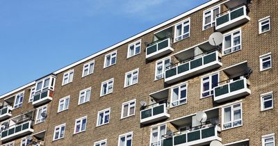 Fed-up mum told to 'move now' after neighbour causes her to 'live in hell'