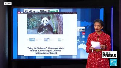 How Ya Ya the panda became a symbol of deteriorating China-US relations