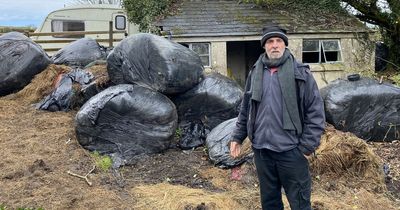 Squatter blocked in with rotting silage after bitter battle with angry locals
