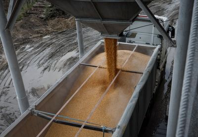 Russia demands full implementation of Black Sea grain deal