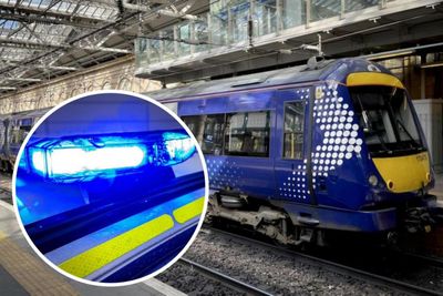 Youths 'hurled offensive comments and spat at' woman on train sparking police probe