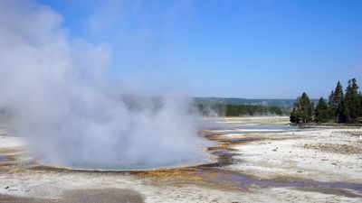 Yellowstone tourist narrowly avoids being being stewed in hot spring