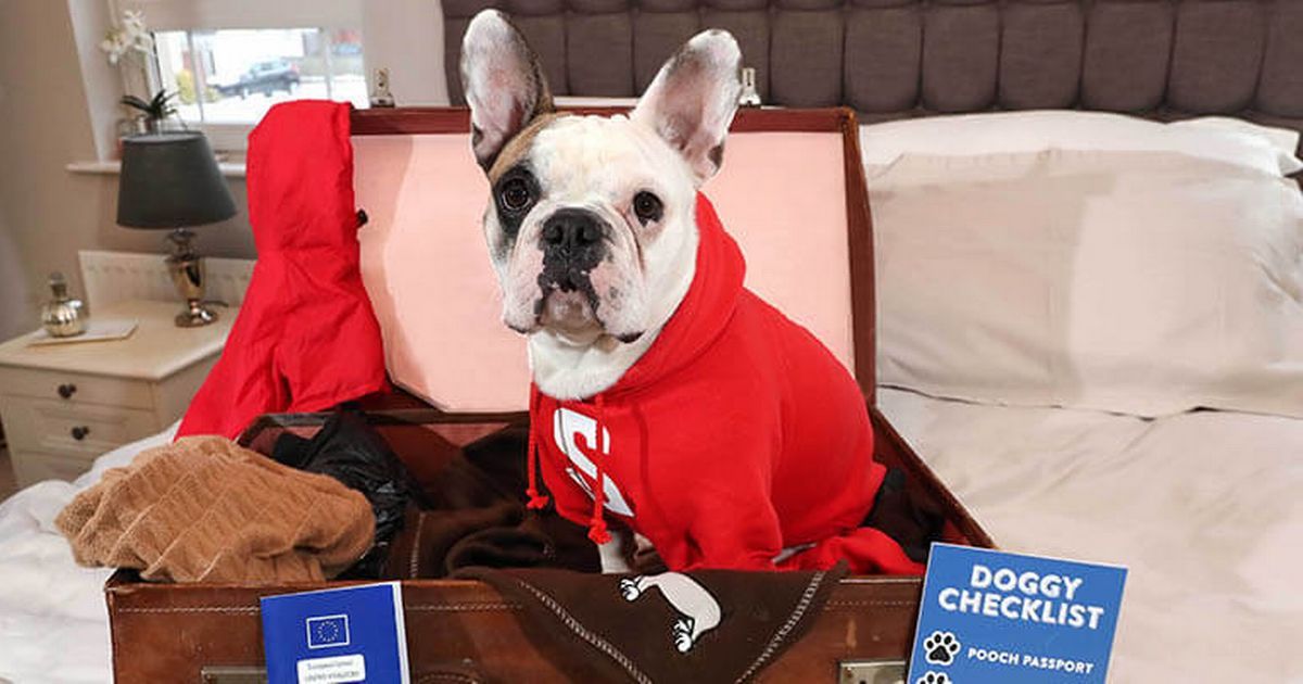 Stena announces 70 new dog friendly cabins including…