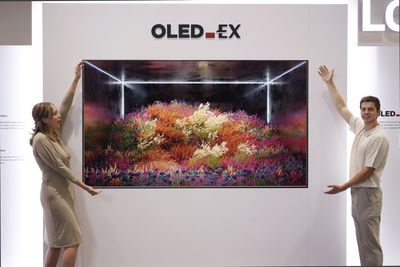 The production of larger, cheaper OLED TVs just hit a major setback