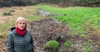 'It's an environmental scandal': Fury after 'open sewer' ruins field earmarked for community woodland