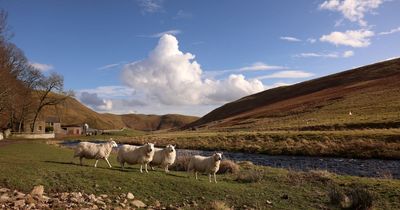 Major victory for 'one-off' chance to bring electricity to Upper Coquet Valley