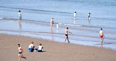 Scotland's most popular beaches face 'swimming pools of poo' as sewage rises