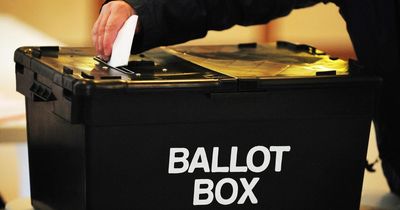 MPs warn of confusion over 'true impact' of Tory voter ID checks on local election turnout