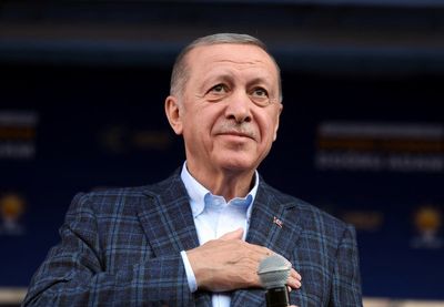 Erdogan cancels election rallies with stomach bug as Turkish expats vote in Germany