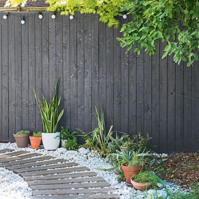 These fence colours can make your garden feel smaller and take the spotlight off your plants