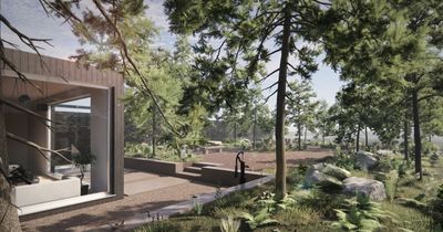 The stunning gardens planned at this year’s RHS Flower Show Tatton Park