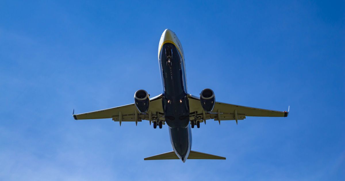 Ryanair, easyJet, TUI and Jet2 hand luggage rules and…