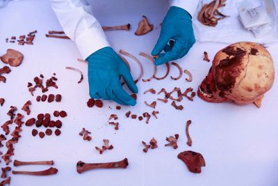 Peruvian gas firm doubles up as pre-Hispanic tomb-finder