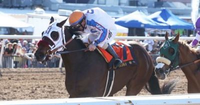 Kentucky Derby underdog Wild On Ice dies during training for US Classic