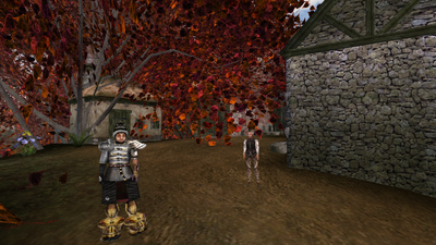This randomizer mod turns the best Elder Scrolls game into a beautiful fever dream
