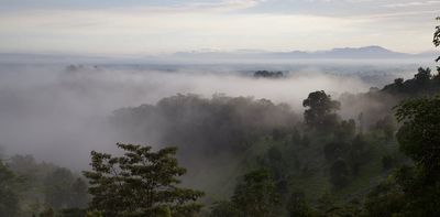 Restoring forests often falls to landholders. Here's how to do it cheaply and well
