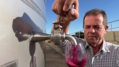 Riverland vineyards on the market as families make tough decisions amid difficult vintage