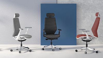 FlexiSpot Pro Plus Mesh Office Chair OC14 review