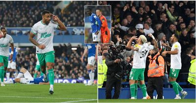 Everton 1-4 Newcastle United: Red hot Magpies marching back to the Champions League