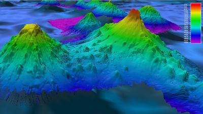 'Mind boggling' array of 19,000 undersea volcanoes discovered with high-resolution radar satellites