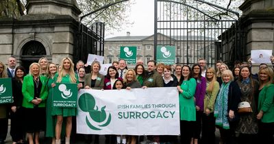 Health Minister vows parents of surrogate children will have 'full recognition and rights'