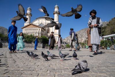 UN urges Afghanistan's Taliban to reverse bans on women