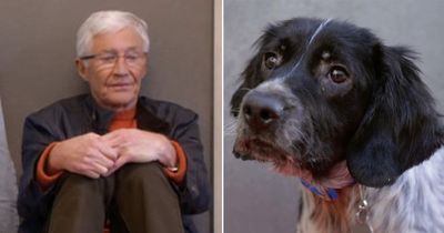 Paul O'Grady fans in tears as late star meets frightened abused dog with 'saddest face'