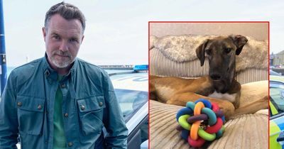Hope Street actor stops filming to make plea for starving dog found with rope around neck