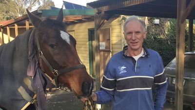 Longford Equine Clinic facing closure as search for vet remains unsuccessful