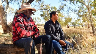 On-country studio to give Alice Springs traditional owners access to Strehlow Collection