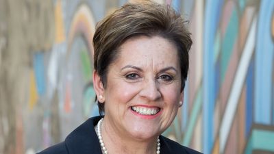 SA government names interim child protection department boss as Cathy Taylor steps down