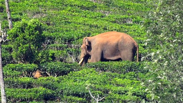 Important developments from Kerala on April 28