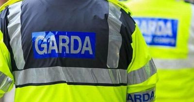 Defence Forces and gardai seize drugs, cash and jewellery in major bust on organised crime in Limerick