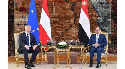 Egypt, Austria Agree to Address Roots of 'Illegal Immigration'