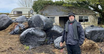 Man squatting on village farm blocked in by rotten silage bales after nasty battle with locals