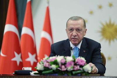 Turkey's Erdogan cancels third day of election appearances