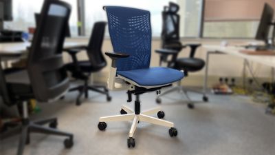 ErgoChair Plus office chair: Apple employee approved (apparently)