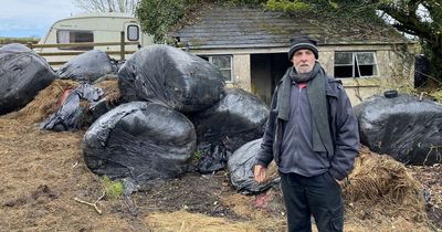 Squatter blocked in by rotten silage after stand-off with farmer over patch of land