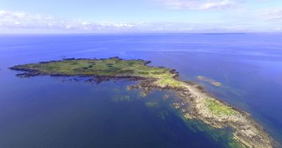 Island off Dumfries and Galloway coast put up for sale