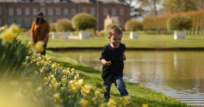 Free National Trust Family day passes up for grabs - we've got 200,000 to give away!