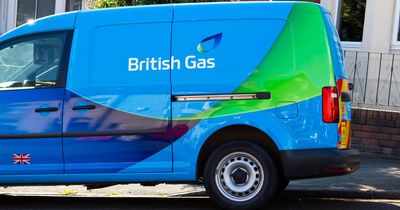 British Gas is paying people to avoid using ovens and washing machines during peak times