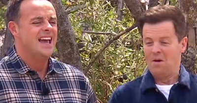 Ant and Dec mock Wales from I'm A Celebrity camp
